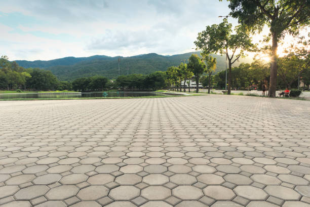 Best Affordable Driveway Paving  in Jackson, WI